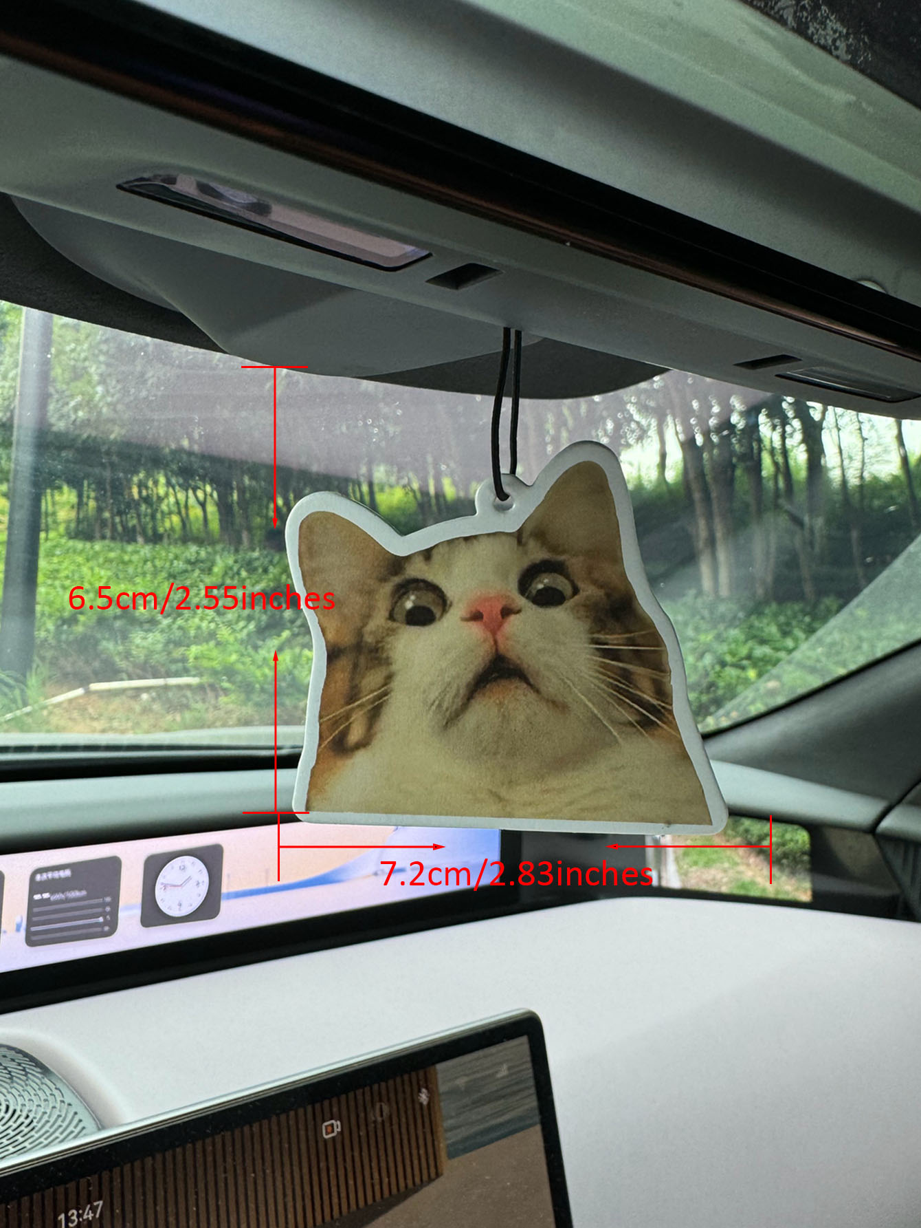 Surprised Shocked Cat Meme Car - Perfume And Fragrance Are Same ulasan dan harga