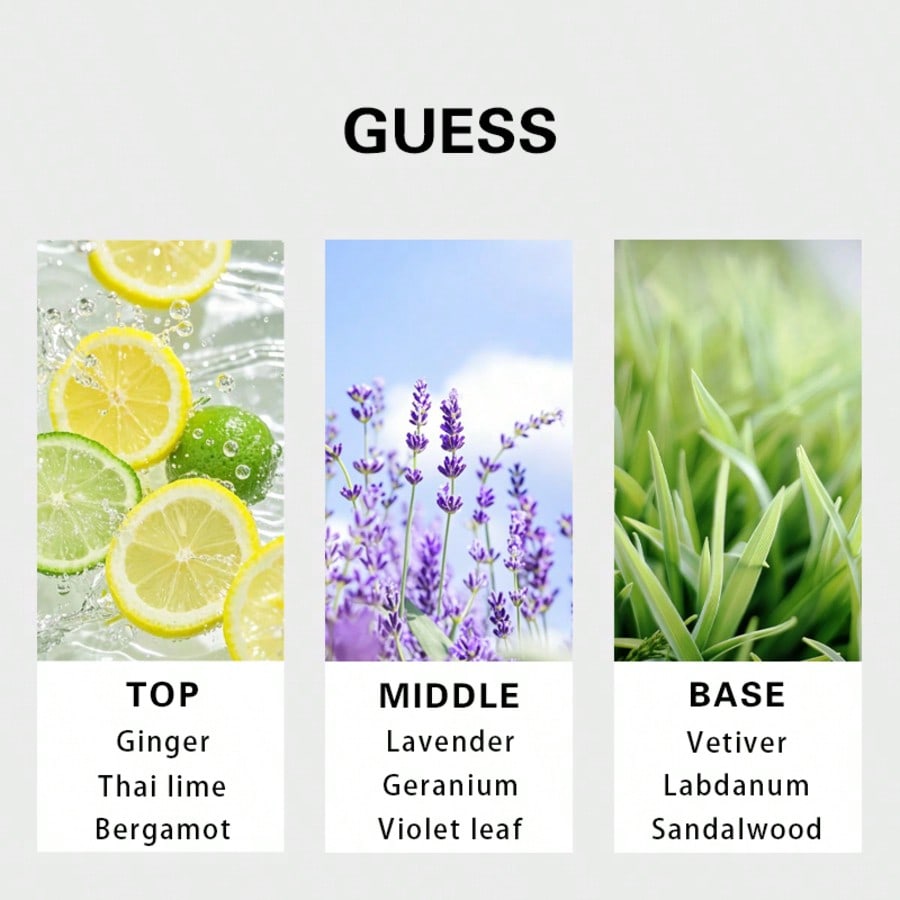 Guess Forever men Eau De Toile - Perfume Fragrance Free ulasan dan harga